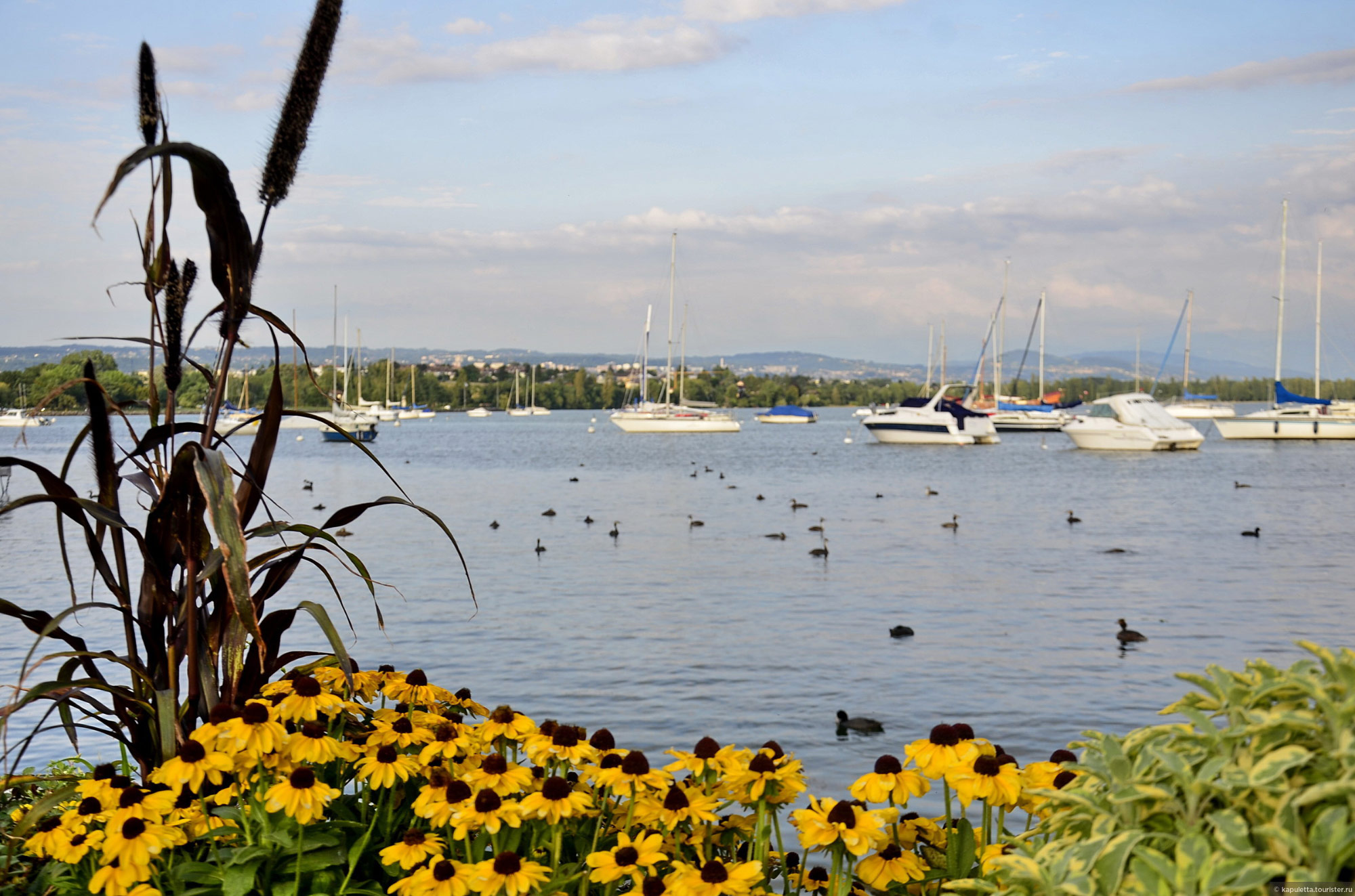 Morges
